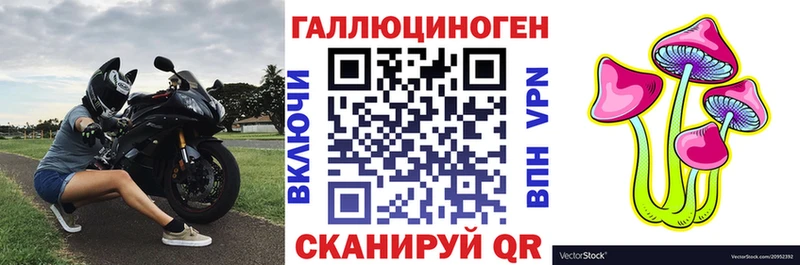Галлюциногенные грибы GOLDEN TEACHER  Клин 