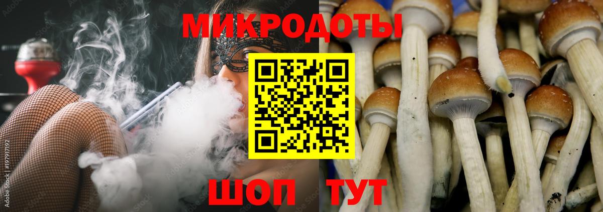 Псилоцибиновые грибы Psilocybe  Вход с VPN  Псилоцибиновые грибы мухоморы  Клин 