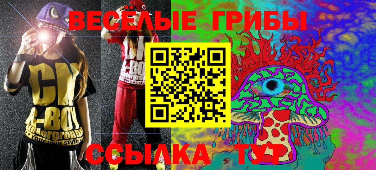 Галлюциногенные грибы Psilocybe  Клин 